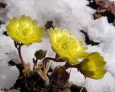 b0b5d4d7be6649918b712cabdd0756bd_副本