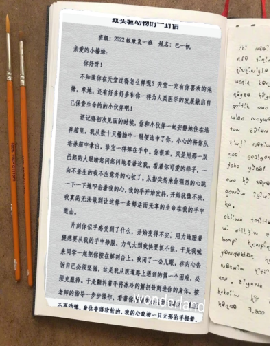 C27C3